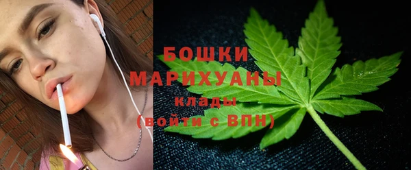 бошки Алексин